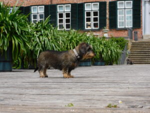 Lotte vor Schloss Eutin