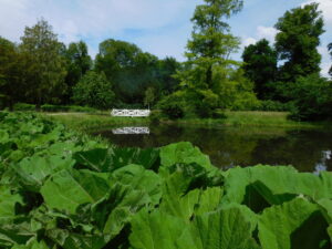 SE Brücke im Garten