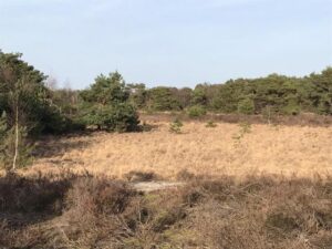 Reiseblog Maasduinen 11