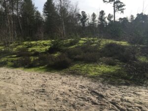 Reiseblog Maasduinen 3