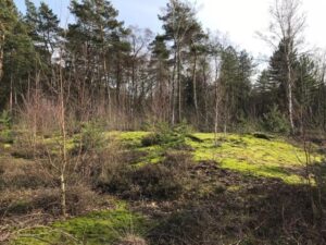 Reiseblog Maasduinen 6