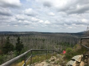 Reiseblog - Harz - Achtermannblick