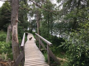 Reiseblog - Harz - Steg mit Lotte