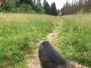 Reiseblog - Harz- Wanderfreunde