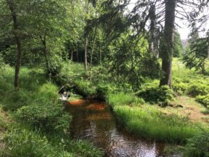 Reiseblog - Harz - Wandern 2