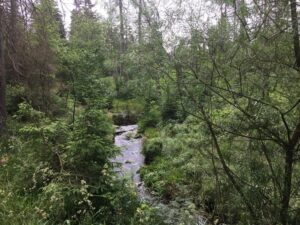 Reiseblog - Harz Wandern