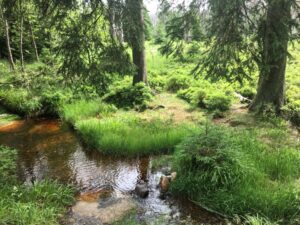 Reiseblog - Harz - Wandern 4