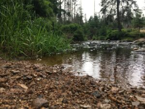 Reiseblog - Harz - überall Wasser