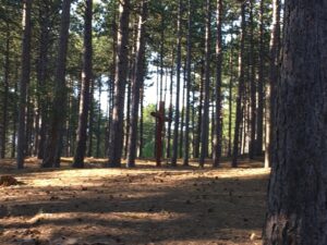 Reiseblog einsames Kreuz im Kiefernwald