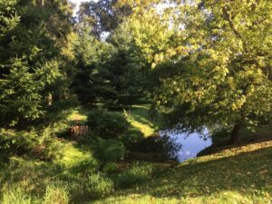 Reiseblog - Schloss Tarce - Park 1