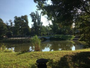 Reiseblog - Schloss Tarce - Park 4