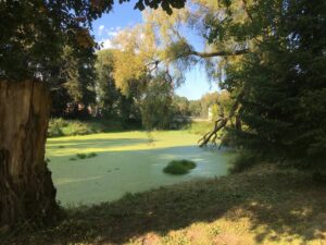 Reiseblog - Schloss Tarce - Park Teich