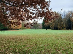 Reiseblog - Schloss Favorite - Park