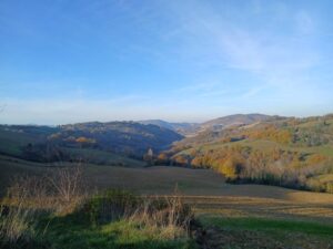 Reiseblog - Petriano 6