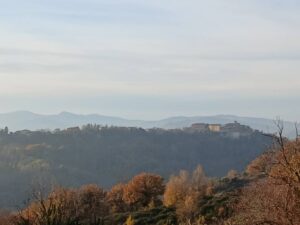 Reiseblog - Petriano 7