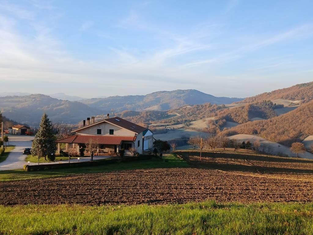 Reiseblog - Petriano Titel