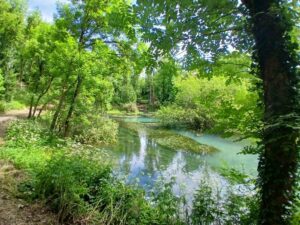 Reiseblog - Ebro Quelle 8