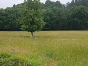 Reiseblog - Ermita de San Bernabe - zwei Stühle