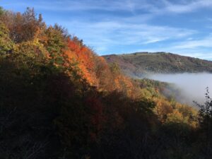 Herbstwald Apenninen