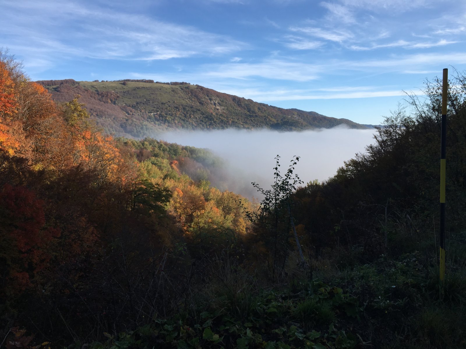 Herbstwald Apenninen