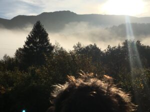 Lotte schaut sich die Wolken im Tal an