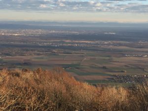 Das bild zeigt die elsässische Tiefebene. Bei gutem Wetter, wie hier reicht der Blick bis Mühlhausen und dahinter ist sogar noch Basel deutlich zu erkennen.