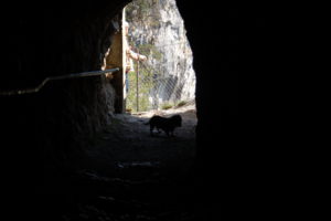 Lotte in der Kapelle