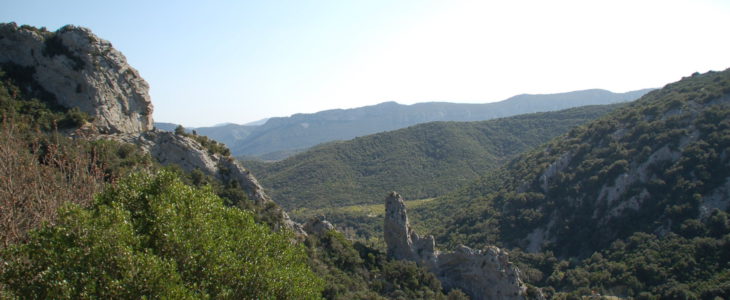 Die Gorges de Galamus