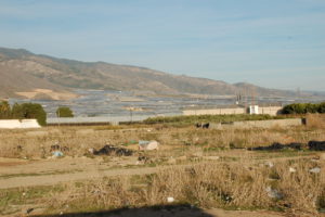 In der kargen Landschaft stehen im Hintergrund riesige Gewächshäuser. Die Brachfläche im Vordergrund ist voller Müll.