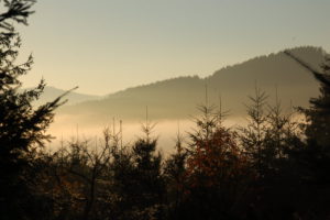 Reiseblog: Nebel im Tal 1