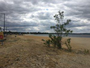 Der Strand am Betzdorfer See