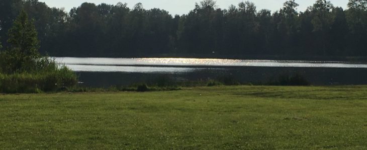 Pelsiner See