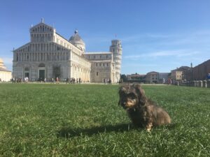 Lotte sitzt auf der Wiese vor dem schiefen Turm von Pisa