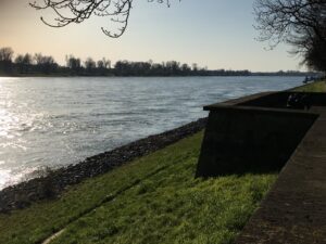 Der Rhein an der Theodor-Heuss-Brücke