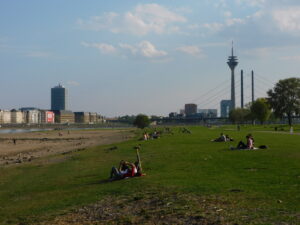 Rheinwiesen mit Fernsehturm