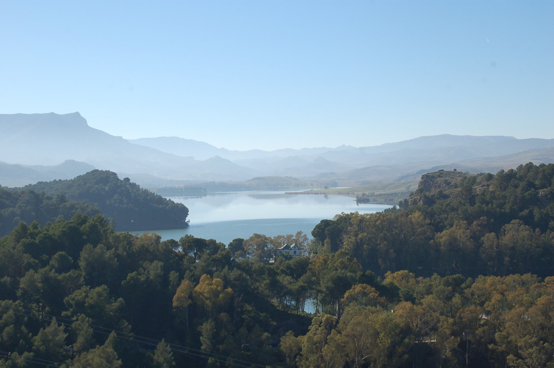 Blick auf den Stausee Guadalhorce im Vordergrund ein Pinienwald