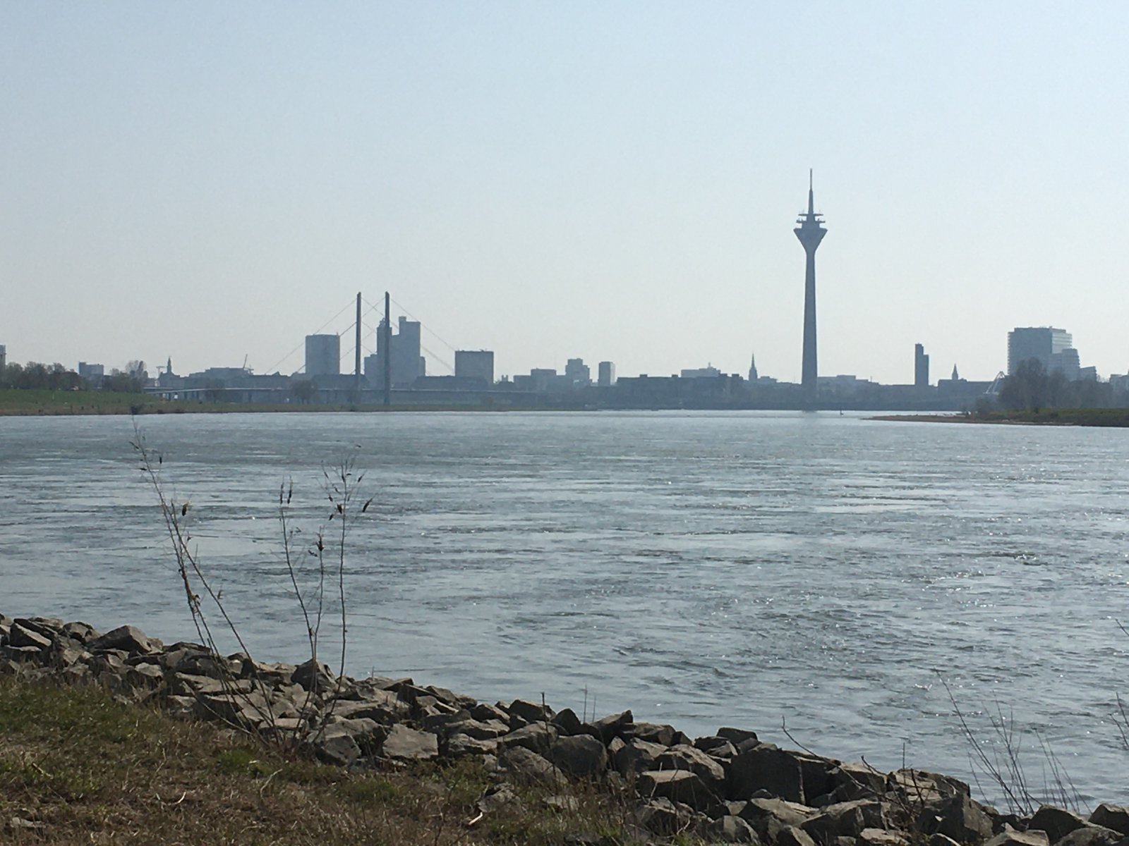 Rhein mit Fernsehturm