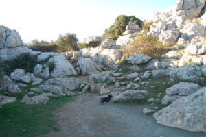 Der Dackel Lotte vor dem Einstieg in den Wanderweg "El Torcal"