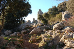 ausgewaschene Kalksteine